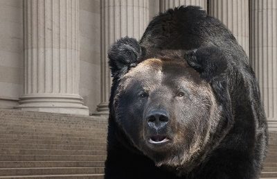 Australian investors bought into the bear market trap in Q3: Calastone