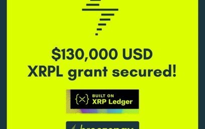 Breezepay secures US funding grant to expand stablecoin payments platform