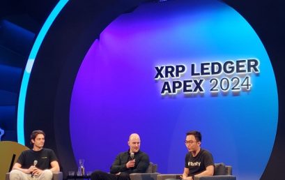 Breezepay attends start-up accelerator in London and speaks at XRPL Apex 2024 conference in Amsterdam
