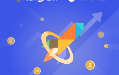 Tanggram crowd-sourced funding is open on Birchal now