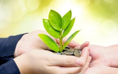 Australian exchange aims to make cryptocurrency “greener”
