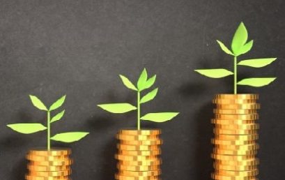 Plenti Group accelerates growth