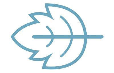 Peppermint granted Electronic Money Issuer license