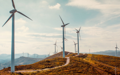 Avarni raises $3M to speed up decarbonisation efforts with the world’s largest consultancies and enterprises