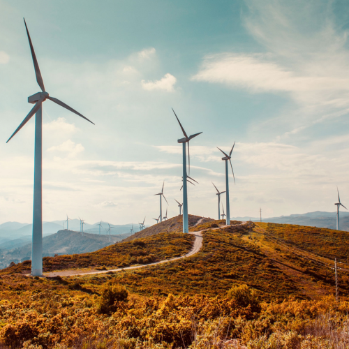 Avarni raises $3M to speed up decarbonisation efforts with the world’s largest consultancies and enterprises Avarni raises $3M to speed up decarbonisation efforts with the world’s largest consultancies and enterprises