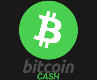 ‘Burning’ coins: how Bitcoin Cash became the world’s hottest cryptocurrency