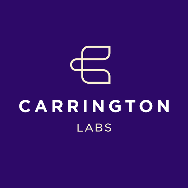 Beforepay Group launches Carrington Labs, a business line to commercialise its AI-powered risk models and lending platform Beforepay Group launches Carrington Labs, a business line to commercialise its AI-powered risk models and lending platform